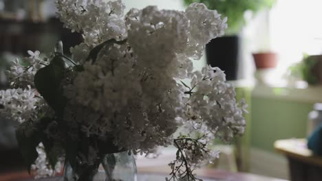 Rack-focus-from-plants-on-the-windowsill-to-white-lilacs-in-the-foreground