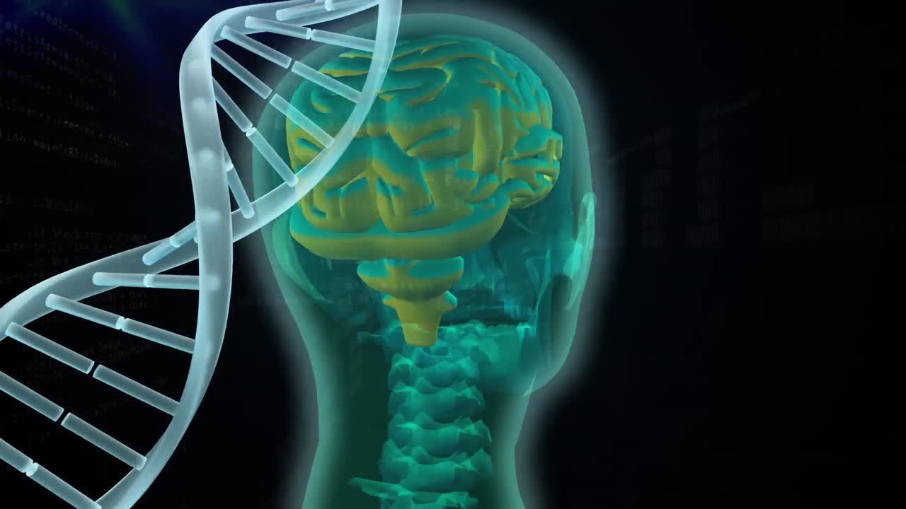 цифровой композит генетического кодирования человеческого мозга