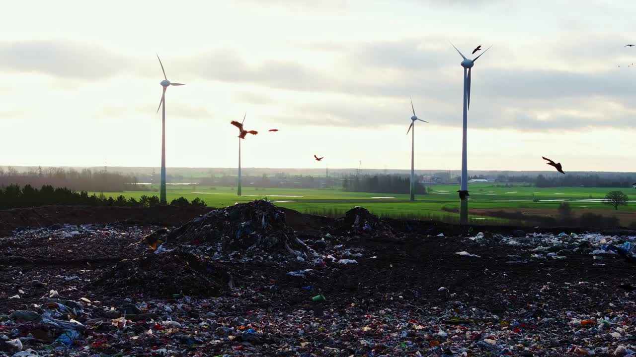 Large flock of crows soars above a landfill site, wind turbines beyond, Latvia