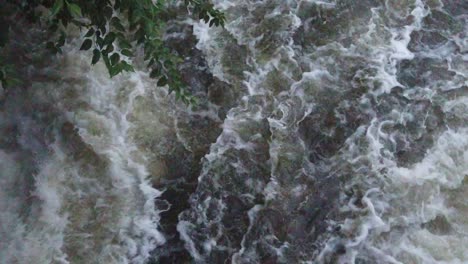 slow motion fast water stream, river stream