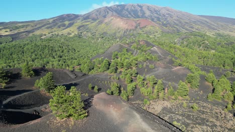 Mount-Etna-Craters,-Volcano-and-Trees-in-Sicily,-Italy---Aerial-4k