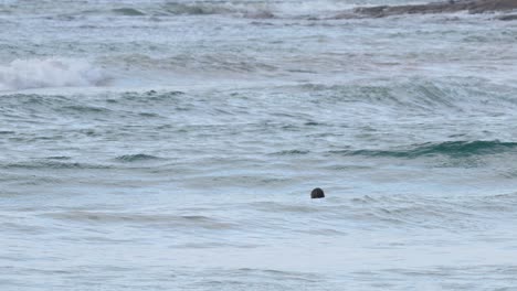 surfer paddling through waves in scenic ocean