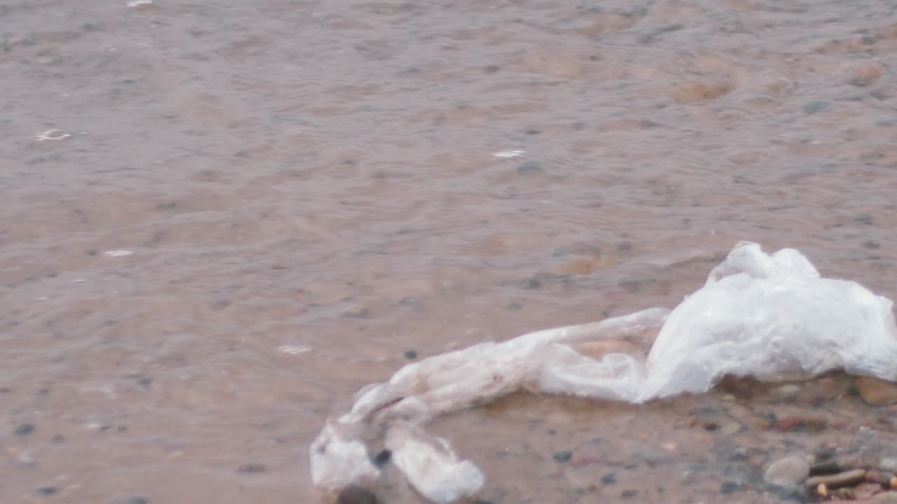 바다로 식료품 한 봉지