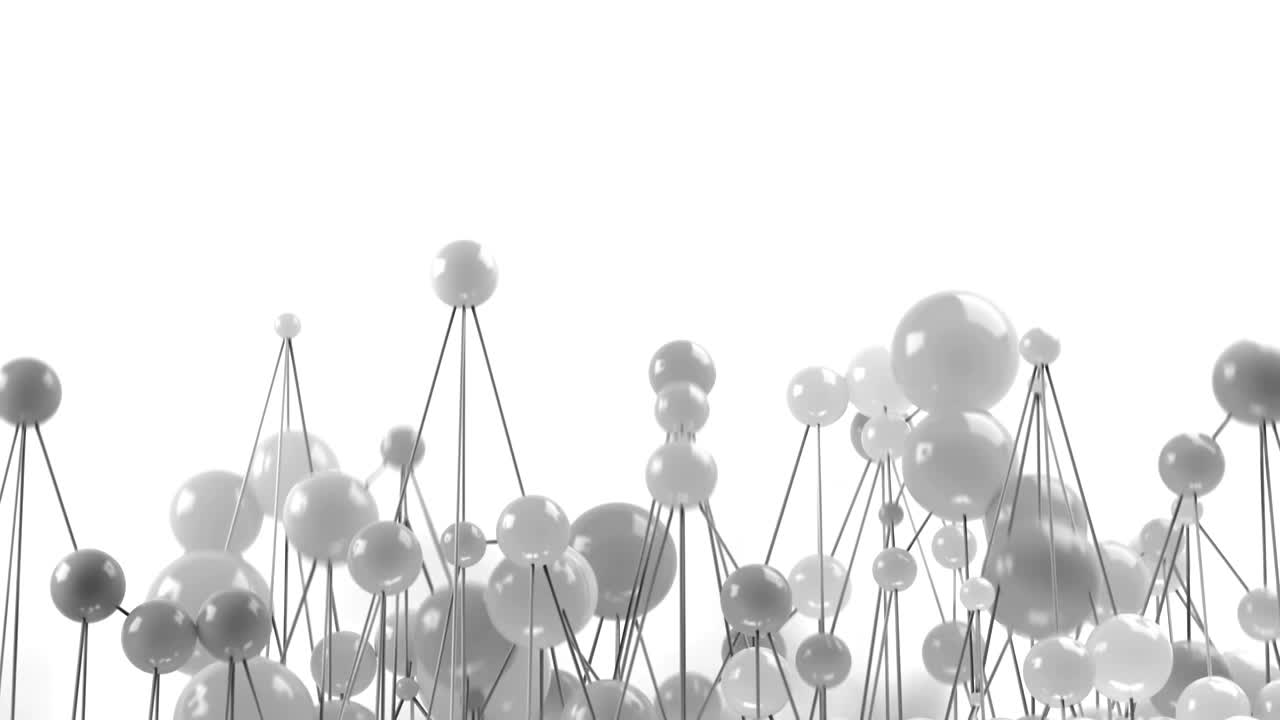 분자 네트워크 루프