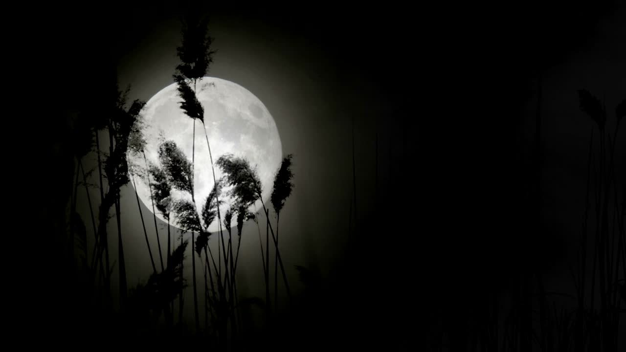 Harvest moon concept in 4K - real footage