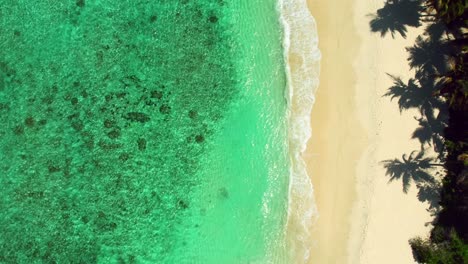 Mahe-Seychelles,-drone-shot-of-beach,-revealing-the-location,-white-sand-beach,-palm-and-coconut-trees-near-the-shore