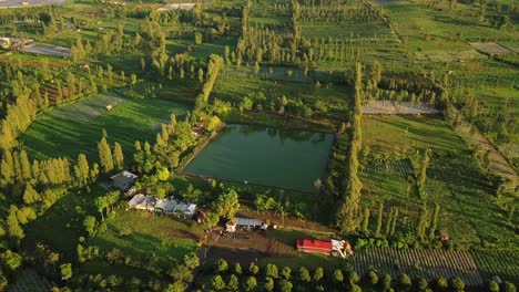 Lago-Artificial-Como-Suministro-De-Agua-Para-La-Agricultura-En-Medio-De-Plantaciones-De-Tabaco-Y-árboles