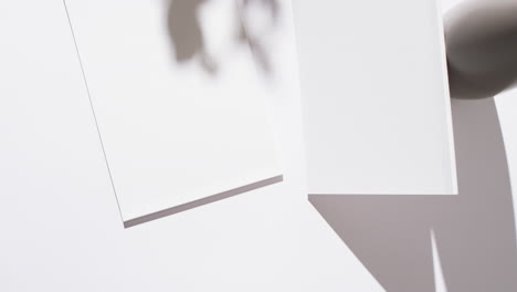 video of shadow of plant over book with blank white pages and copy space on white background