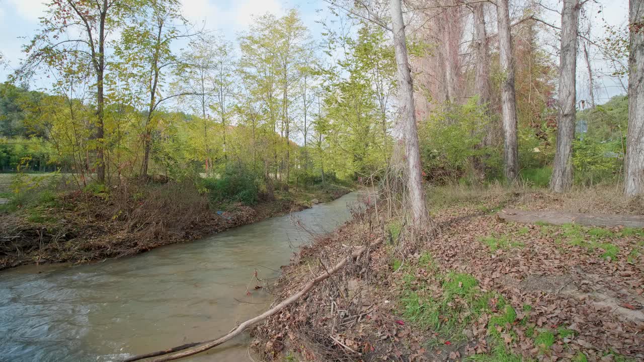 bosque de otoño, paseo cardán