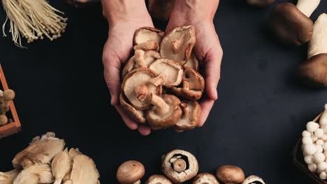 various types of mushrooms held in hands