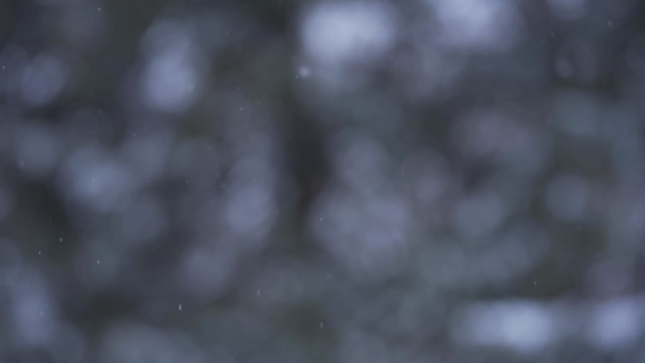 fondo borroso con ráfagas que caen