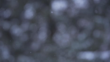 fondo borroso con ráfagas que caen