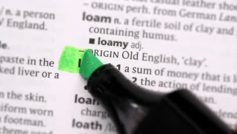 loan highlighted in green