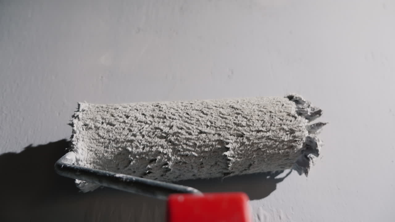 빌더 페인트 벽 롤러 보기