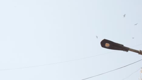 cuervos volando sobre el horizonte de mumbai con el poste de electricidad en primer plano