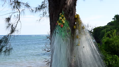 a fishing net net hangs on a tree on an indian ocean beachside in kilifi, kenya. non slider version.