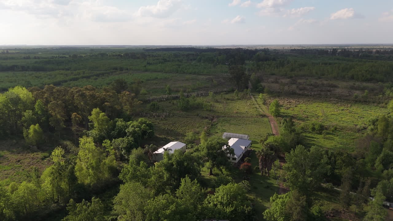 Drone perspective of a rural school and nearby cabins amidst the verdant trees and expansive landscape of the Argentine Delta. An idyllic scene of remote countryside living and nature.