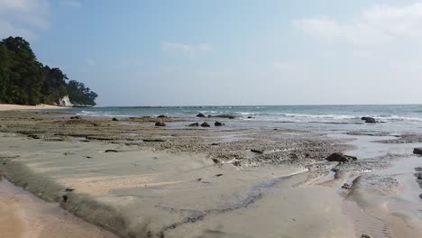 Slow-motion-walking-with-camera-along-the-beach-at-low-tide-in-the-andaman-islands-forest-lining-the-peninsula