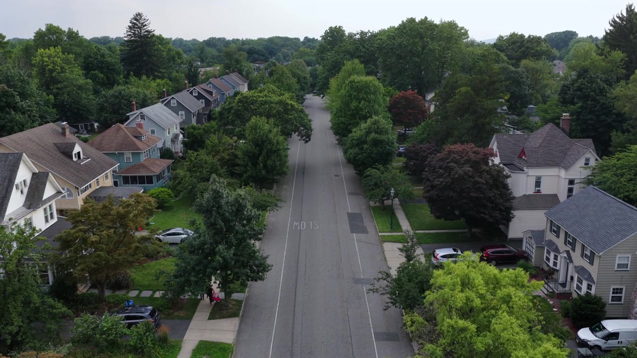 Case americane fiancheggiano una tranquilla strada alberata in un quartiere del New Jersey, mostrando facciate colorate, tetti a capanna e auto parcheggiate sotto fitte chiome di alberi estive. Ripresa aerea con drone in ascesa.