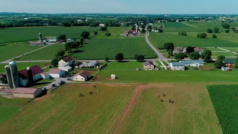 amish sunday meeting in countryside and farmlands as seen by drone