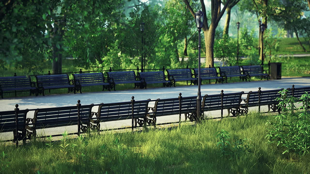 Serenity in the park with empty benches and lush greenery on a sunny day