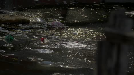 garbage floats in a rotten stream and catches the reflection of the sunset