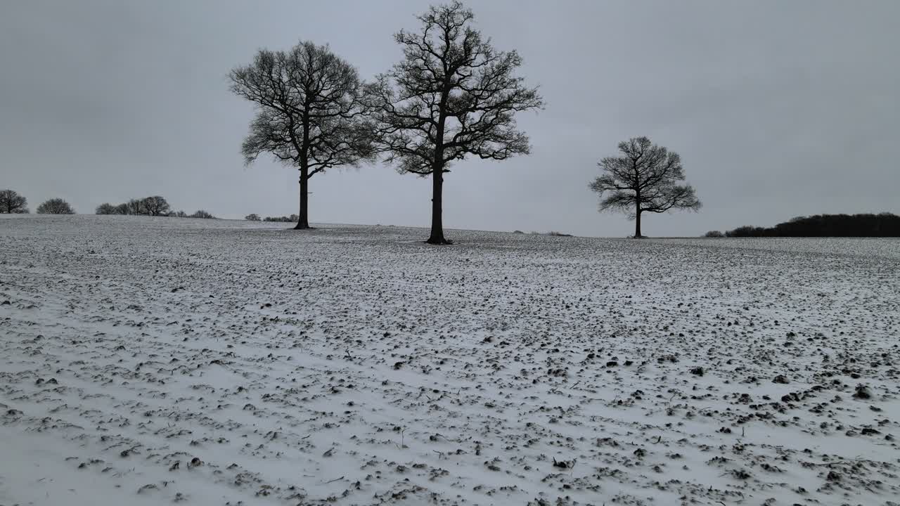 Low drone angle over snow covered farm fields in English landscape three trees in shot 4k.