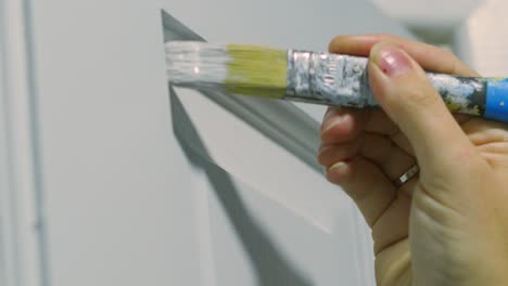painting a door: a home improvement project