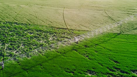 irrigation of green crops 4k