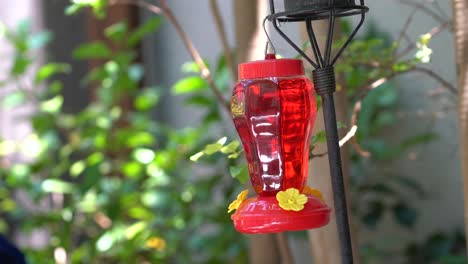 red hummingbird feeder with sugar water; 4k