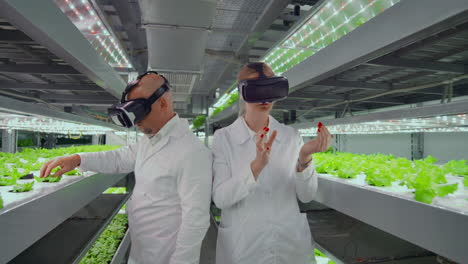 modern microbiologists use virtual reality glasses to control and control the climate on a modern farm for growing eco-friendly vegetables.