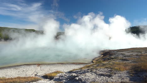 yellowstone national park, steam above hot spring water and pool, panorama, full frame