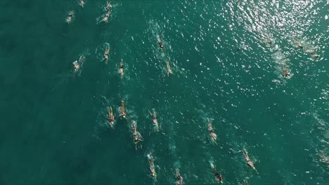 overhead view of swimmers in a race in the pacific ocean on sunny day