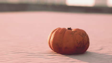 calabaza de halloween en las dunas de la playa