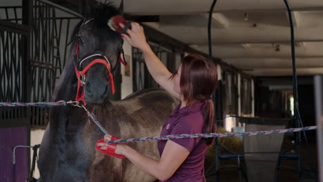 mujer arreglando un caballo en un establo