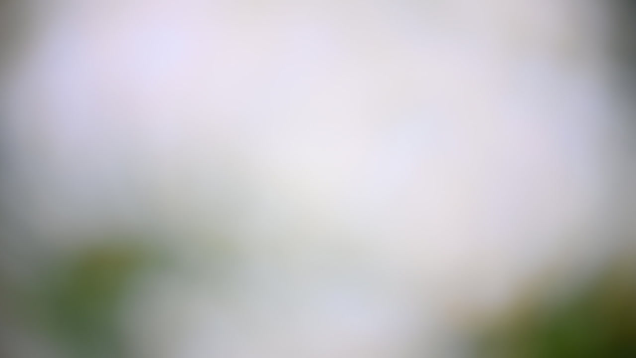Abstract blurred background with white and green soft gradients