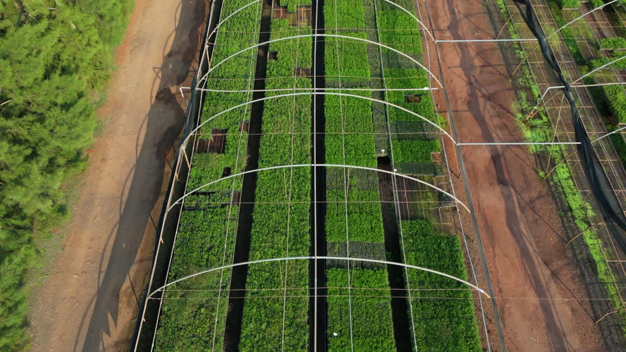 Aerial top down Greenhouse, plants incubator, cultivation location, Scenic drone view