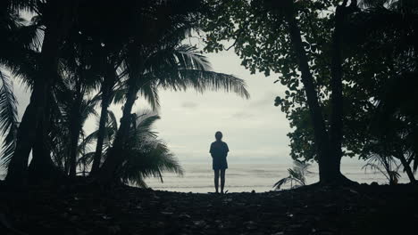 Silhouette of a person on a tropical beach