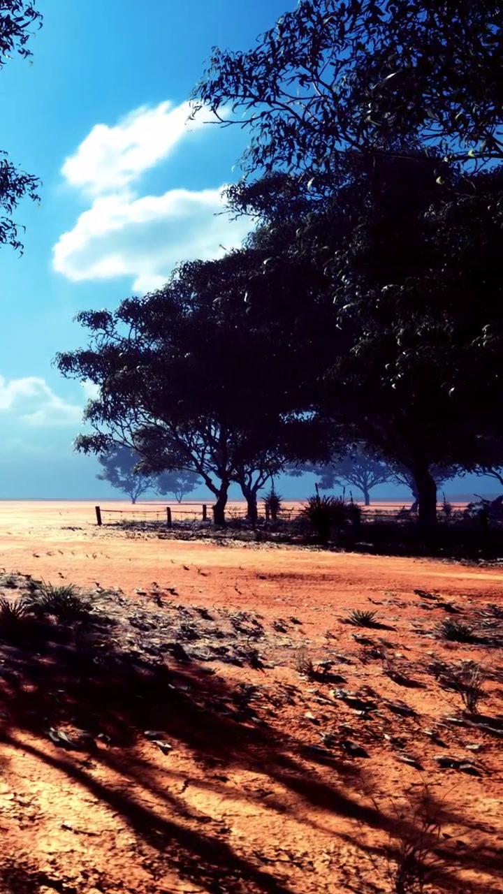 Árvores e um caminho de terra sob um céu claro durante o dia em uma área rural.