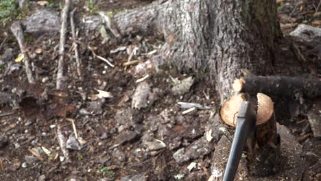 Overhead-angle-of-man-using-axe-to-split-log,-slow-motion