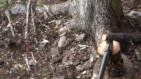 Overhead angle of man using axe to split log, slow motion