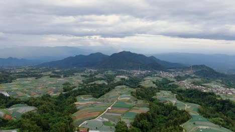 Small-villages-and-endless-number-of-plantations-in-Indonesia,-aerial-drone-view