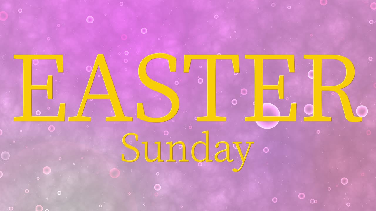 Domenica di Pasqua evento animazione testo motion graphics