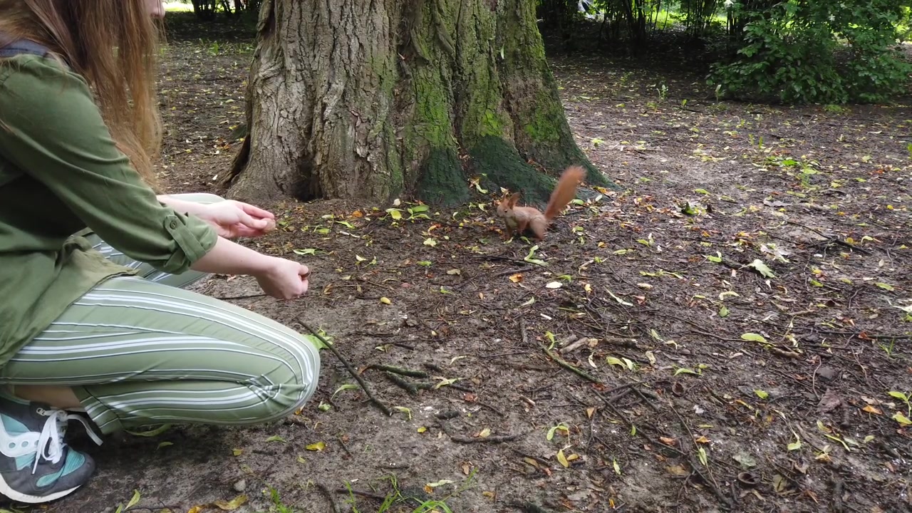 The girl feeds squirrels in the park.