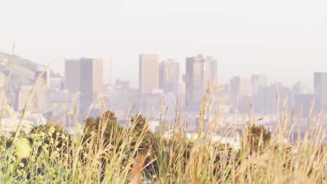 General-view-of-cityscape-with-multiple-modern-buildings-with-meadow-in-foreground