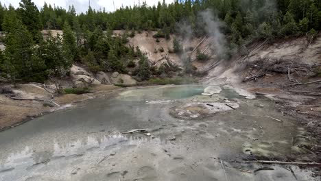 monarch geyser hot spring (geothermal feature) in yellowstone national park, usa; 4k footage from norris geyser basin trail.