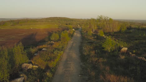 old country lane with lush green vegetation aerial sunset