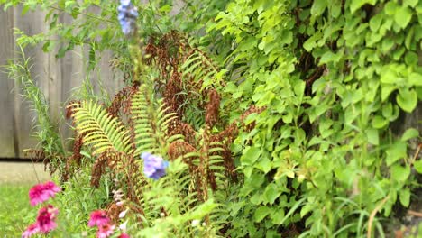 Close-Up-Of-Flowers-Growing-At-Base-Of-Old-Stone-Silo-In-4K