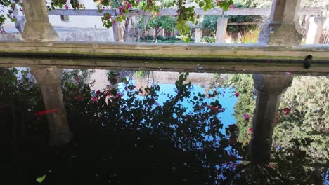 colorful fish in a small pond in a mediterranean romantic garden