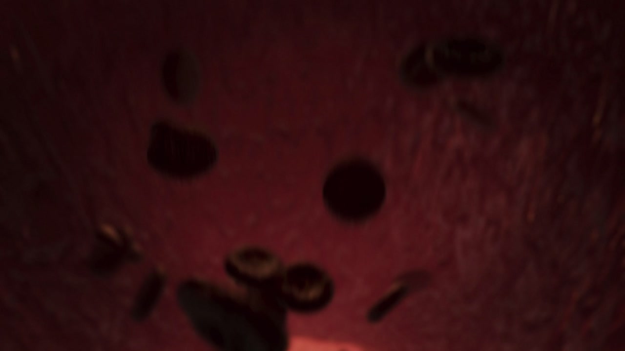 Flow of Red Blood Cells Inside Vein - Medical Visualization